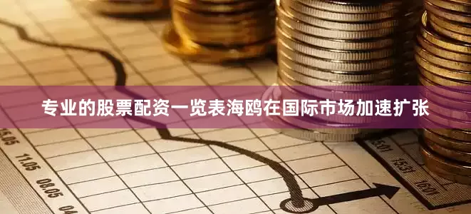 专业的股票配资一览表海鸥在国际市场加速扩张