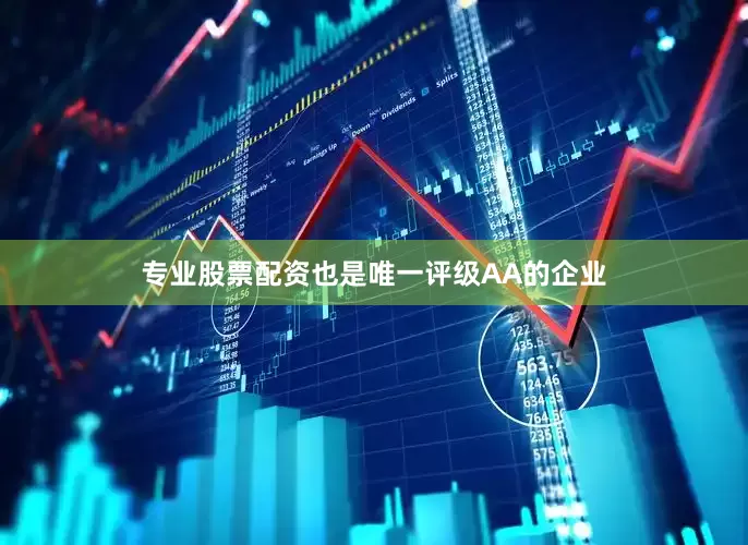 专业股票配资也是唯一评级AA的企业