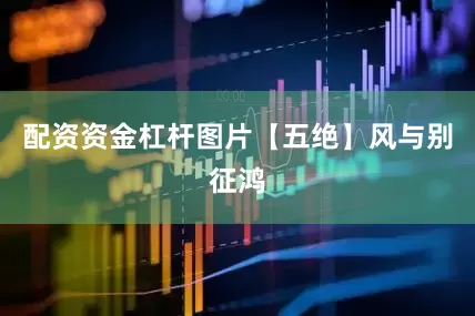 配资资金杠杆图片【五绝】风与别征鸿