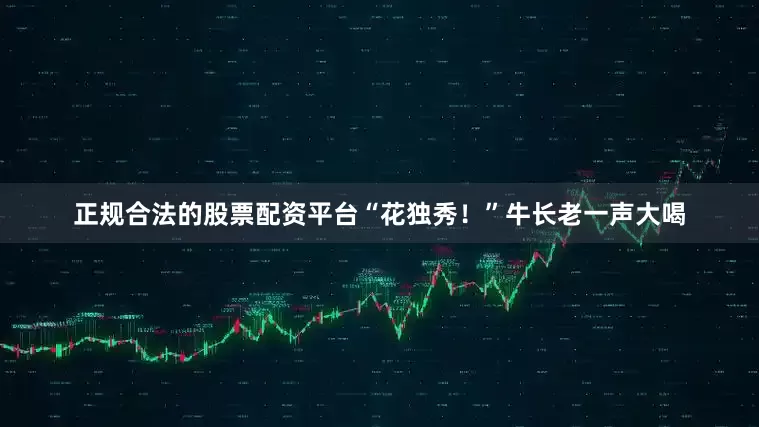 正规合法的股票配资平台“花独秀！”牛长老一声大喝