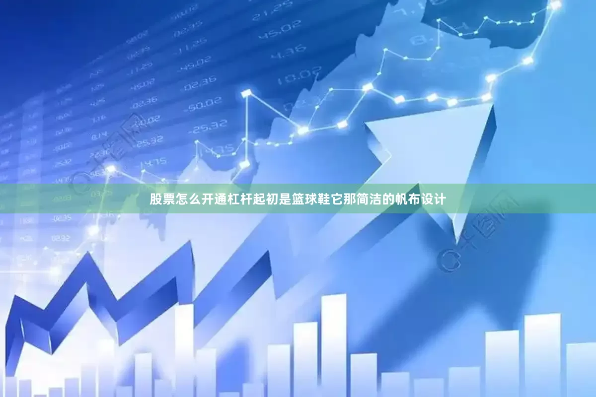 股票怎么开通杠杆起初是篮球鞋它那简洁的帆布设计